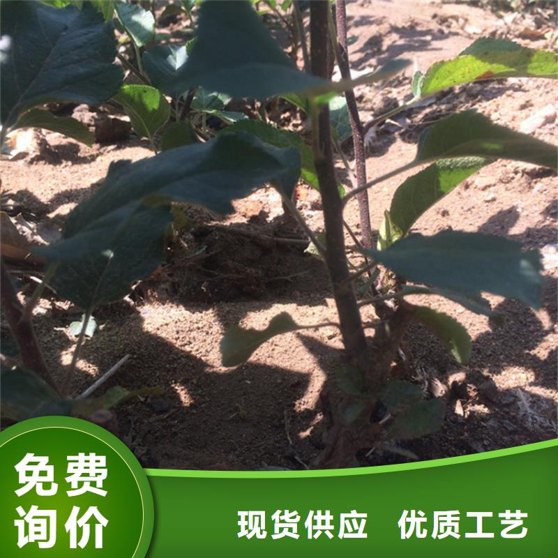 蘋果奶油草莓快速發(fā)貨