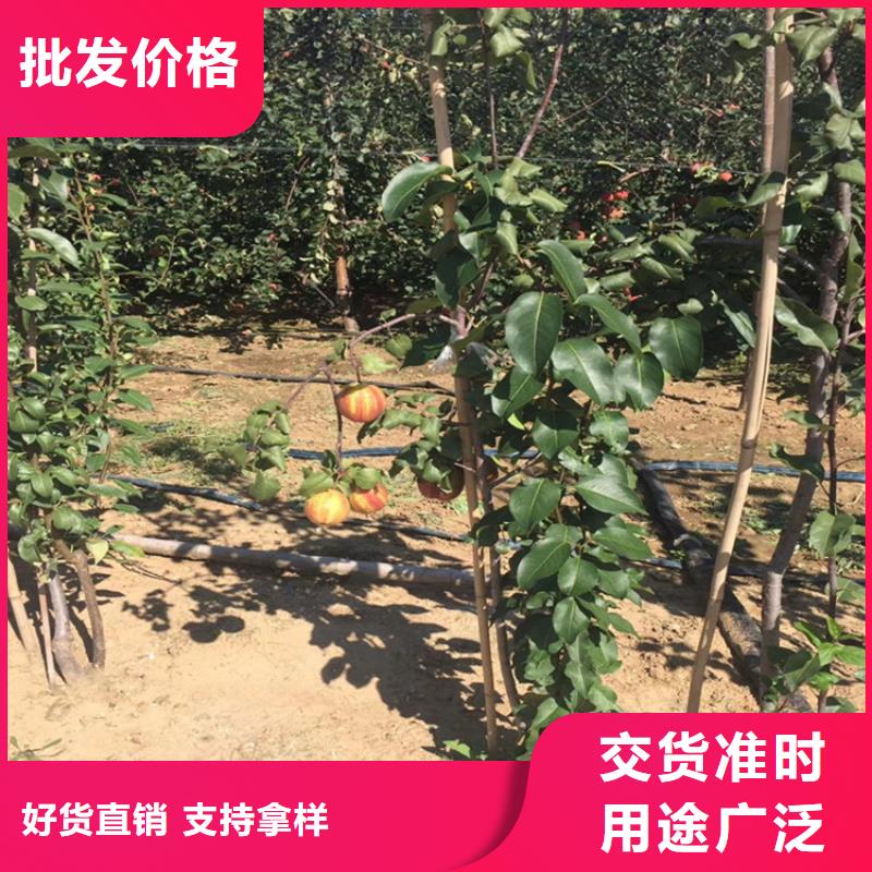 【梨树】桃树苗加工定制-服务范围包括钟山|八步|玉林|北海|防城港|柳州|南宁|河池|桂林等
