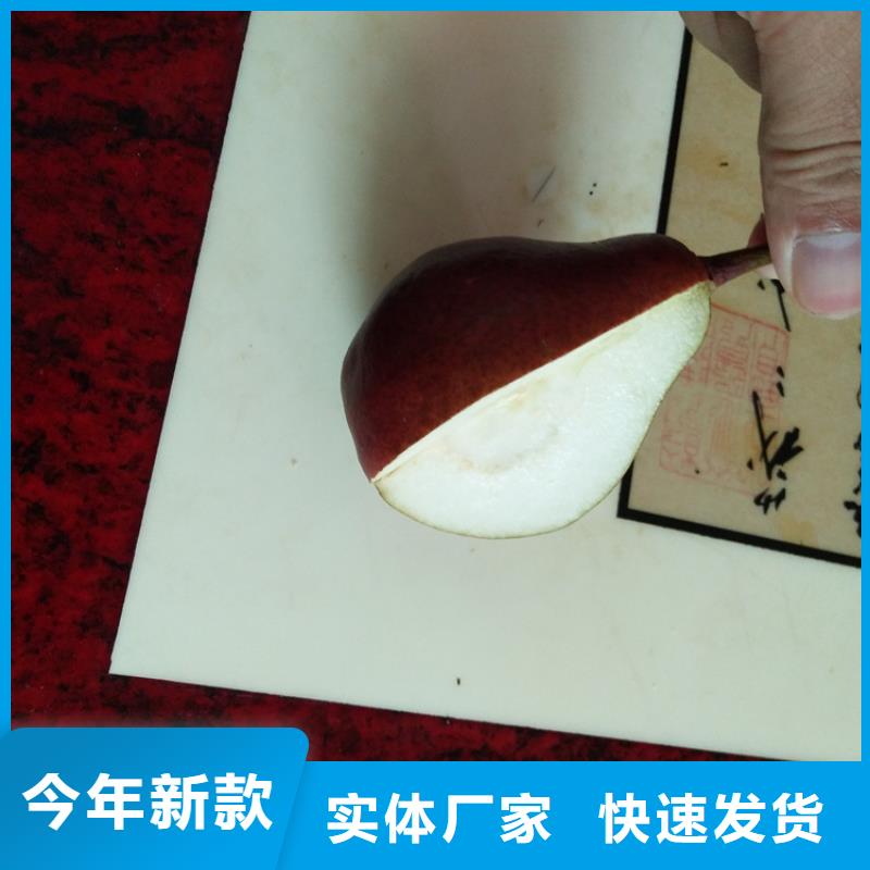 梨树-桃树苗优选好材铸造好品质