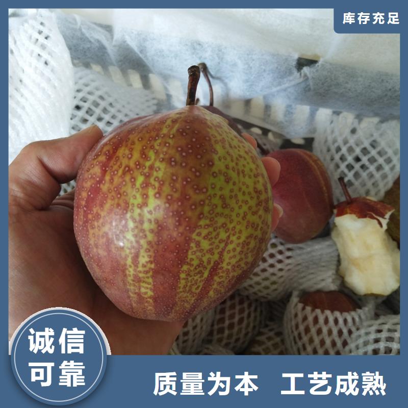 【梨树】桃树苗加工定制-服务范围包括钟山|八步|玉林|北海|防城港|柳州|南宁|河池|桂林等