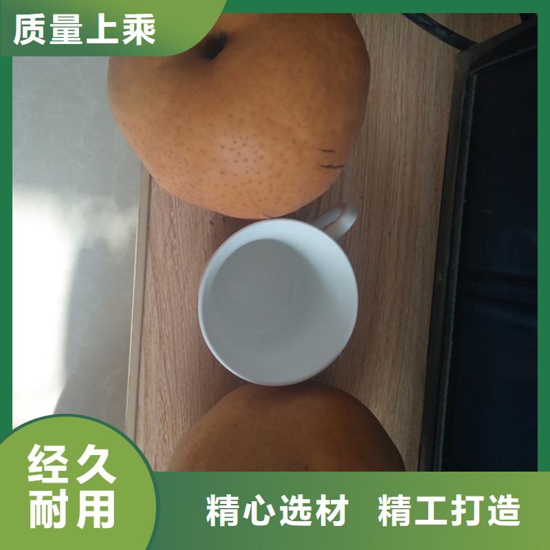 【梨樹(shù)櫻桃苗設(shè)備齊全支持定制】