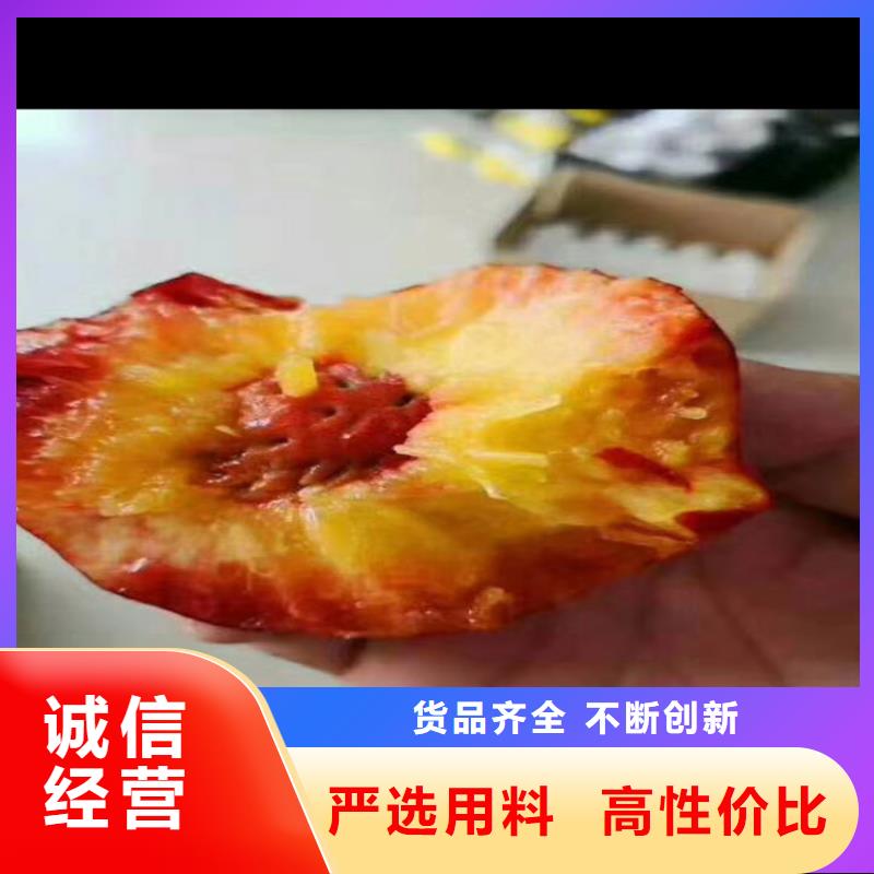 【桃】_梨树苗支持定制加工-轩园园艺场(黄冈市分公司)-企业旺旺