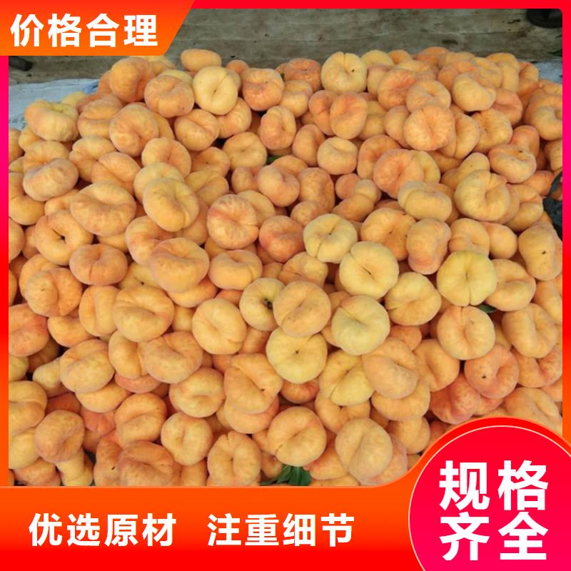 桃-樱桃苗贴心服务