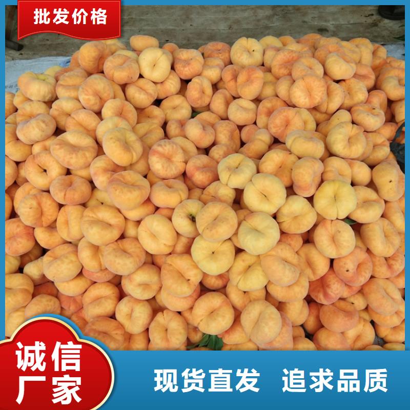 桃西瓜番石榴苗歡迎來電咨詢