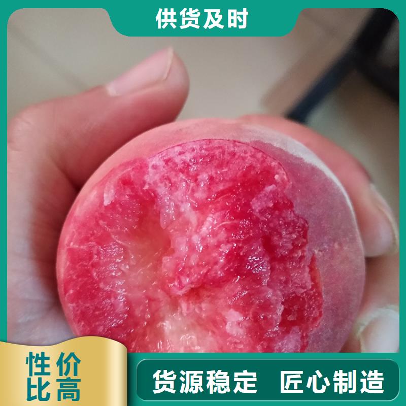 【海量现货 桃-桃树苗老客户钟爱】-qy55.com