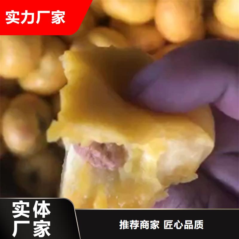 桃无花果苗您身边的厂家