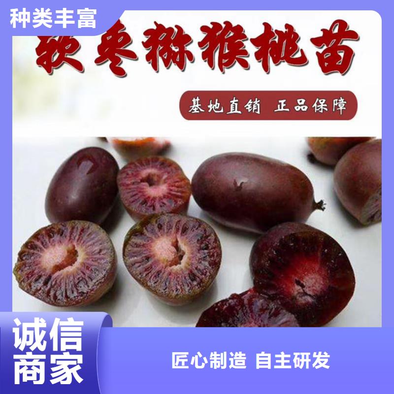 【猕猴桃】,樱桃苗用心做产品