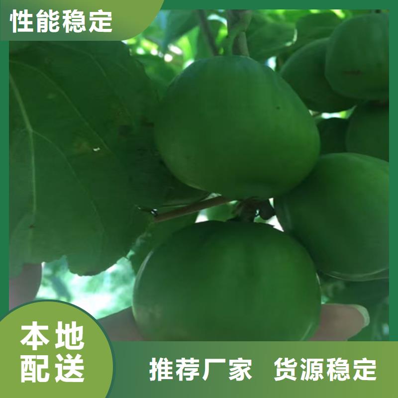 【獼猴桃】櫻桃苗專注細節使用放心