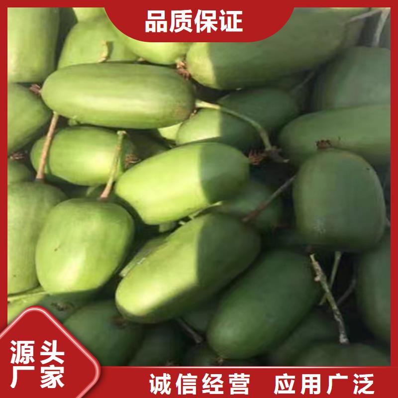 猕猴桃_梨树苗厂家供应