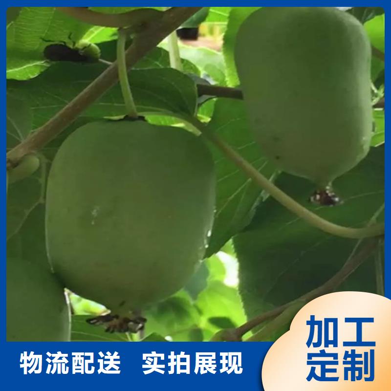 【猕猴桃】_桃树苗为您提供一站式采购服务本地经销商
