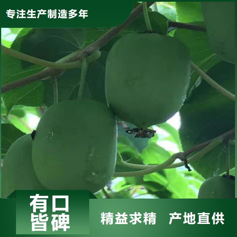 猕猴桃梨树苗货源直销