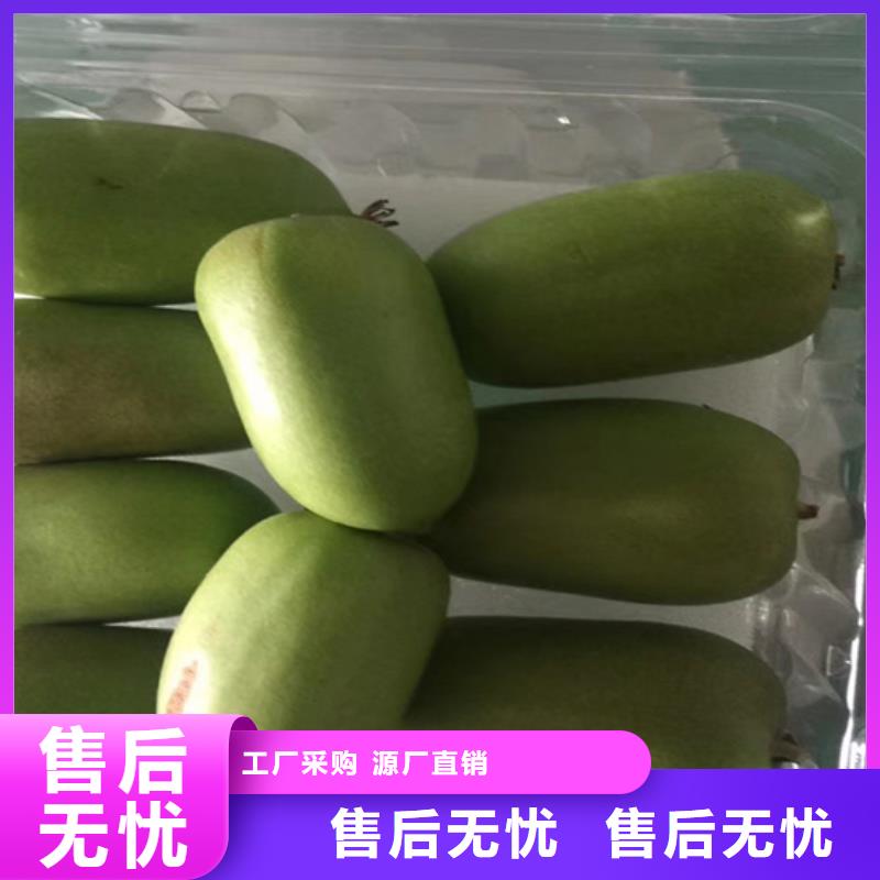 |邹平|无棣|临沂|聊城|枣庄|威海轩园【 猕猴桃 樱桃苗当地货源】
