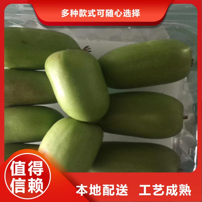 猕猴桃蓝莓苗好货采购
