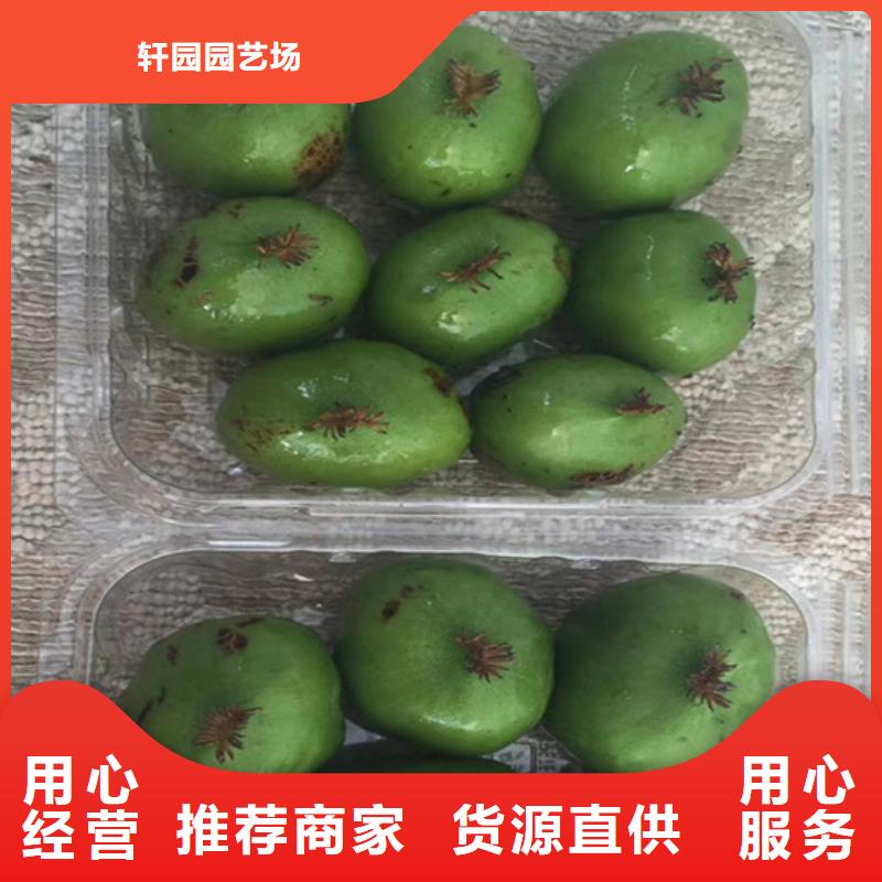 |邹平|无棣|临沂|聊城|枣庄|威海轩园【 猕猴桃 樱桃苗当地货源】