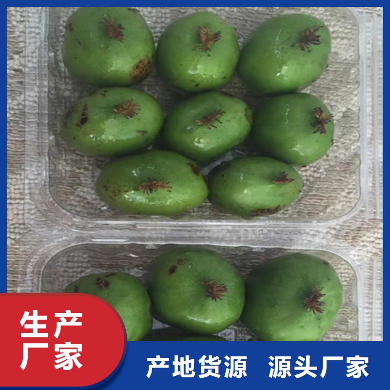 猕猴桃梨树苗货源直销