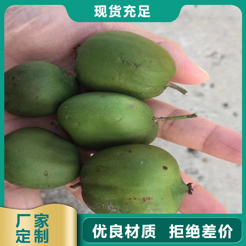 猕猴桃葡萄苗优选原材