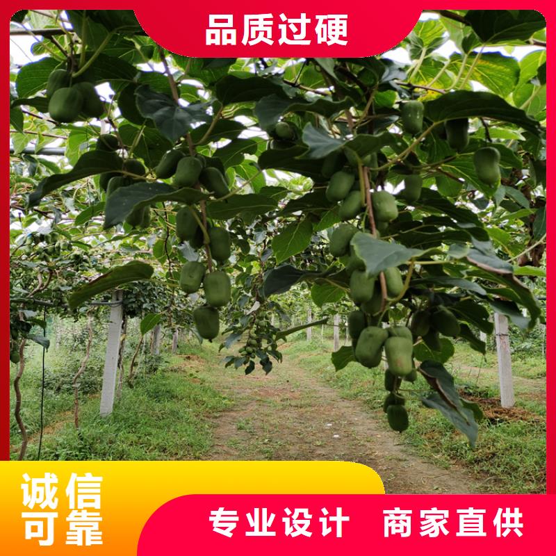 【 猕猴桃 樱桃苗当地货源】_轩园园艺场(滨州市分公司)