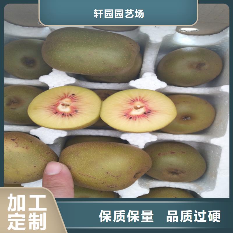 【猕猴桃】_桃树苗为您提供一站式采购服务本地经销商