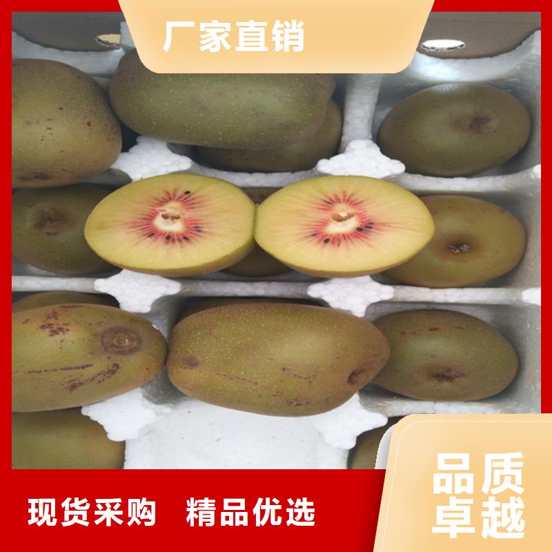 【 猕猴桃 樱桃苗当地货源】|惠民|无棣|东营|潍坊|烟台|济南|临沂qy55.com