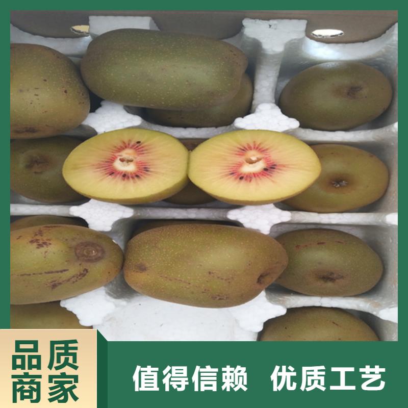 严选用料【猕猴桃】_桃树苗为您提供一站式采购服务-企业旺旺