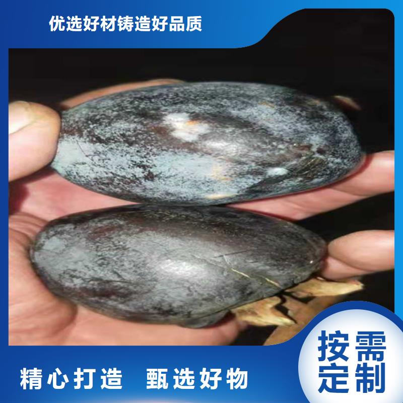 柿子櫻桃苗廠家供應