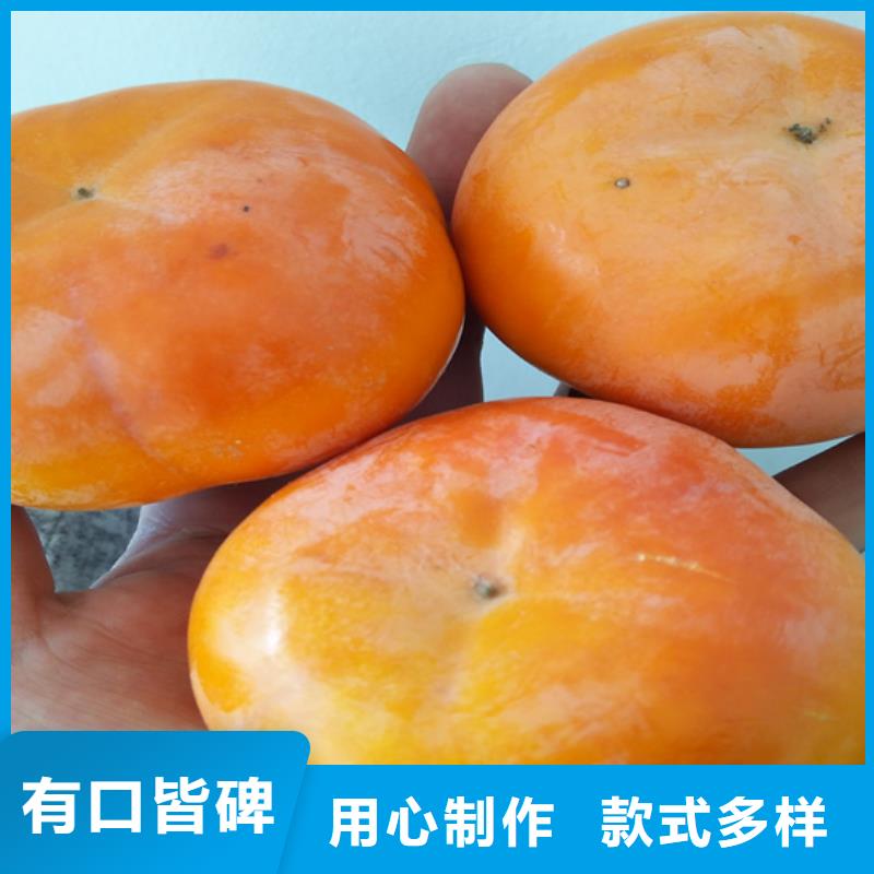 【柿子】 无花果苗您身边的厂家当地服务商