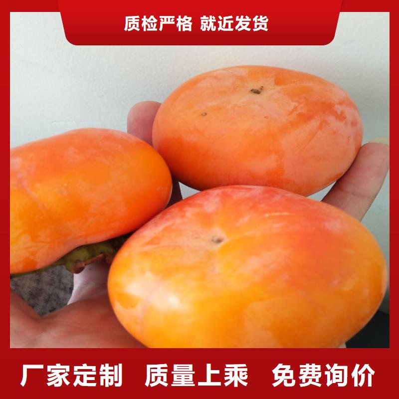 【 柿子_梨树苗按需设计】|鹤山|新会|深圳|阳江|潮州|珠海|佛山|中山|梅州qy55.com