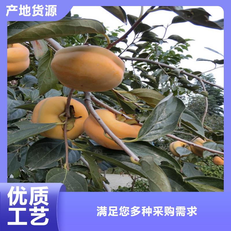 【 柿子_梨树苗按需设计】-市场覆盖|江海|台山|云浮|深圳|湛江|珠海|阳江|汕尾-企业旺旺