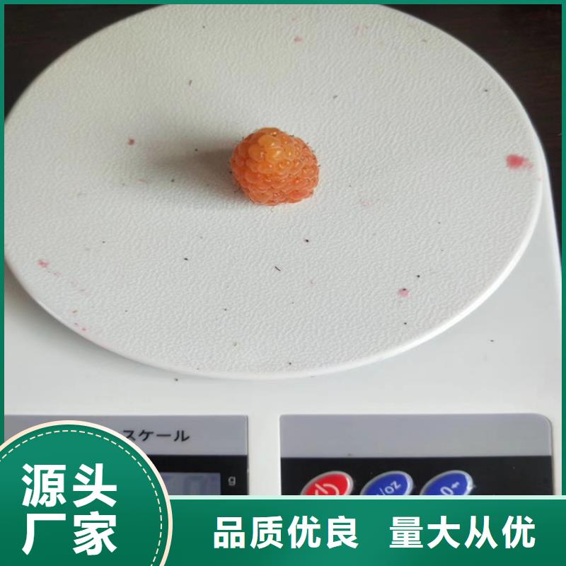 梨树苗-视频-相山|濉溪|黄山|宿州|滁州|蚌埠轩园梨树苗_ 轩园园艺场(淮北市分公司)