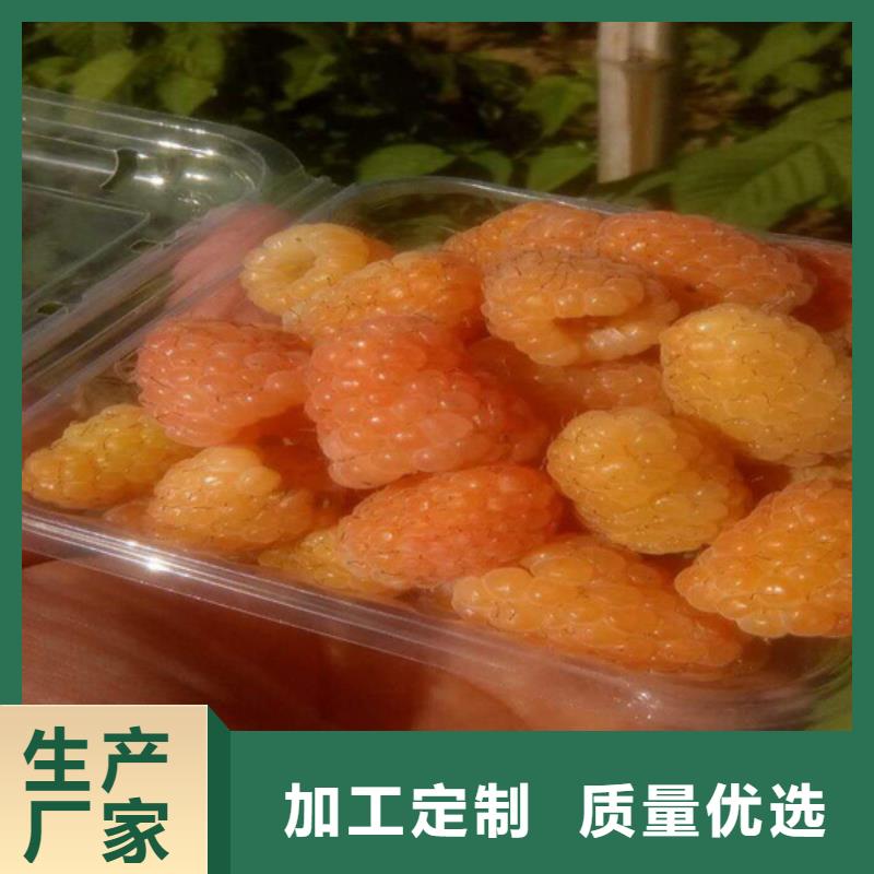 轩园梨树苗【树莓】石榴树值得信赖qy55.com