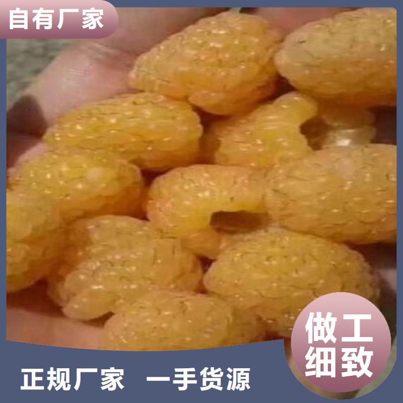 梨树苗-视频-梨树苗(轩园)覆盖地域辽宁省本溪市明山|南芬|丹东|盘锦|抚顺|沈阳|铁岭|辽阳|鞍山