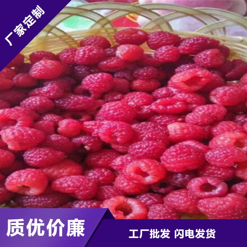 樹(shù)莓石榴樹(shù)苗來(lái)電咨詢