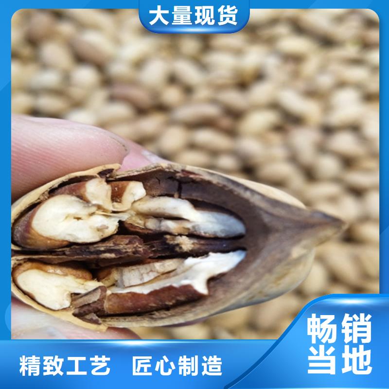 碧根果花椒苗诚信经营质量保证