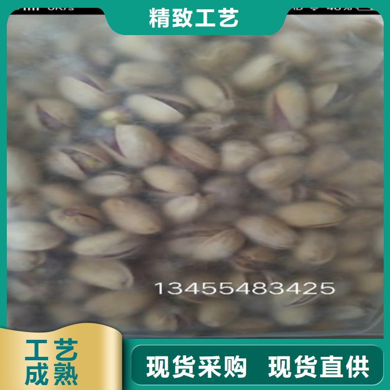 開(kāi)心果蘋(píng)果苗物美價(jià)優(yōu)