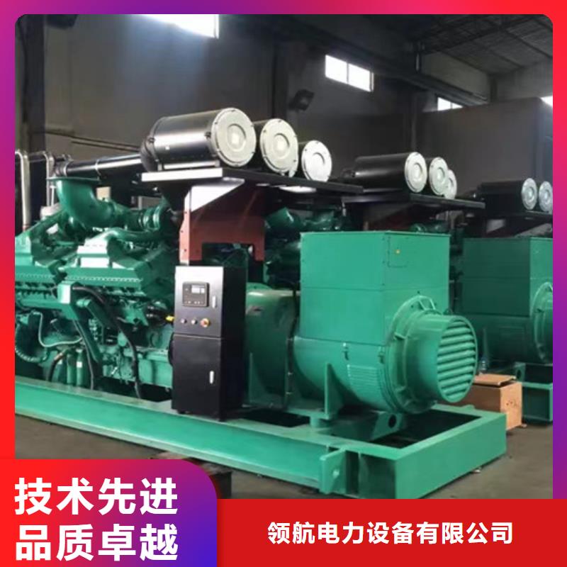 堆龙德庆柴油发电机出租严格执行发电规程