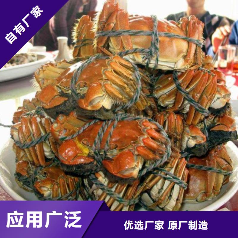 大闸蟹现货价格