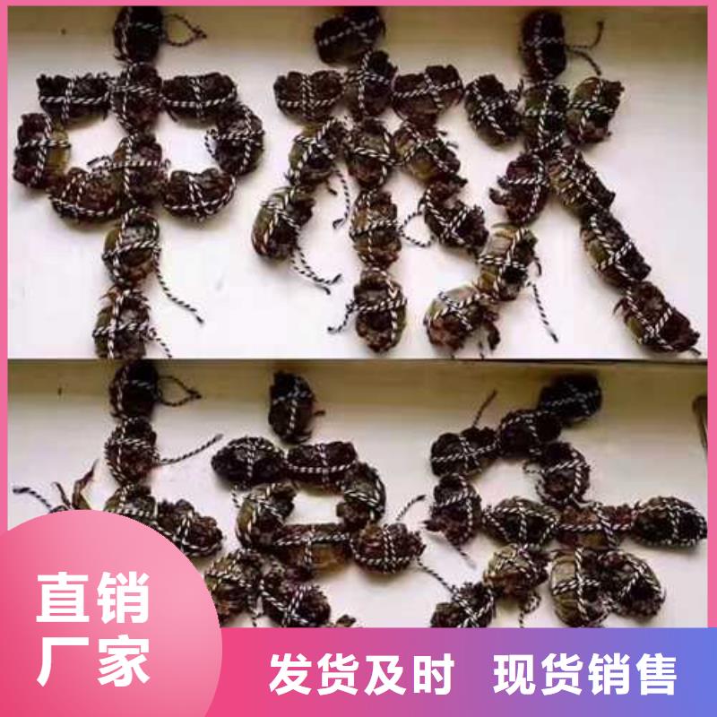 阳澄湖大闸蟹网上订购视频-阳澄湖大闸蟹网上订购-四川省自贡市大安|贡井|泸州|雅安|内江|巴中|宜宾|攀枝花本地厂家
