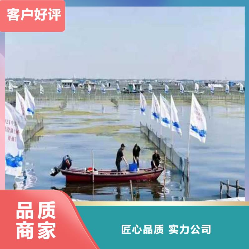 价格合理的大闸蟹生产厂家