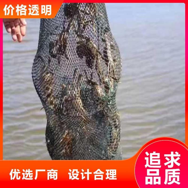 阳澄湖吃大闸蟹哪家好苏州莲花岛