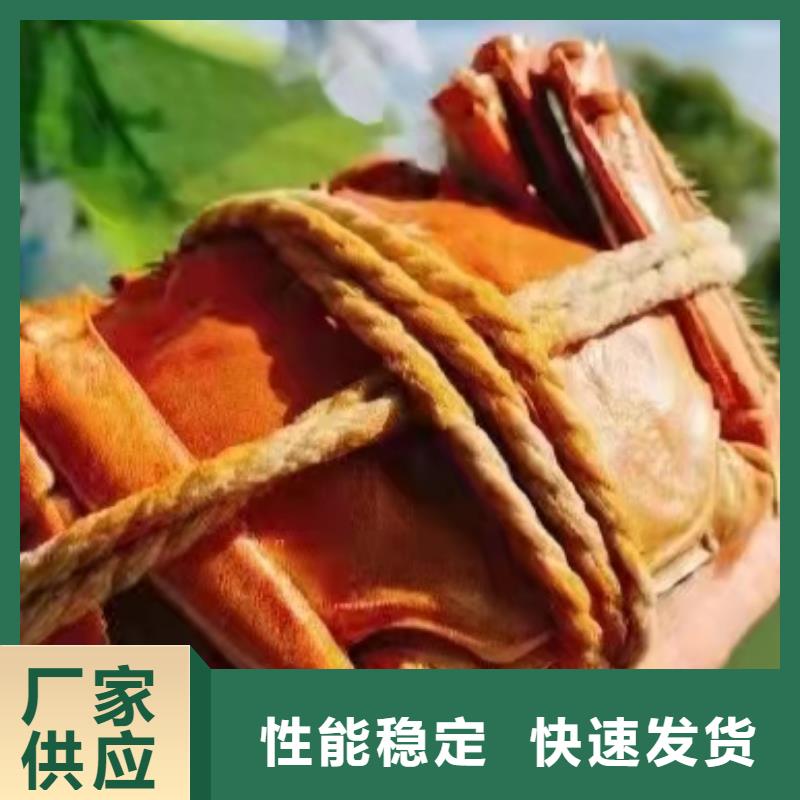 选择我们选择放心【大闸蟹】-阳澄湖大闸蟹订购0中间商差价本地咨询