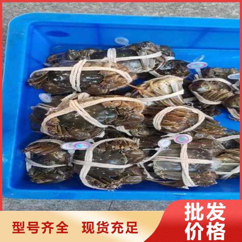 阳澄湖大闸蟹团购