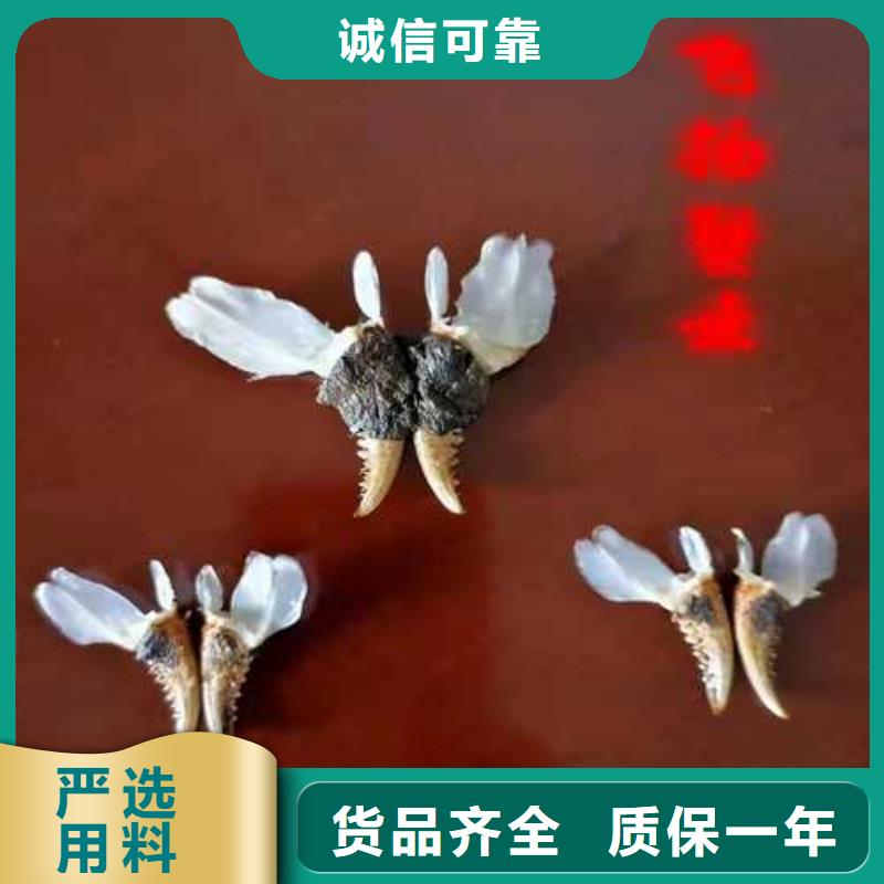 大閘蟹廠銷價優(yōu)