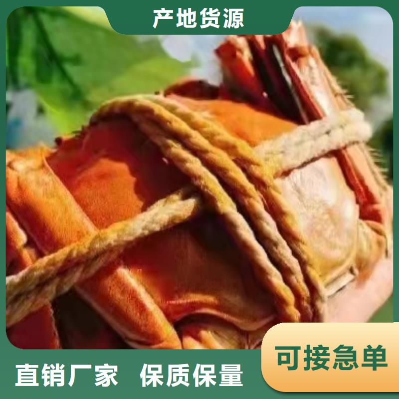 阳澄湖蟹哪里买苏州莲花岛