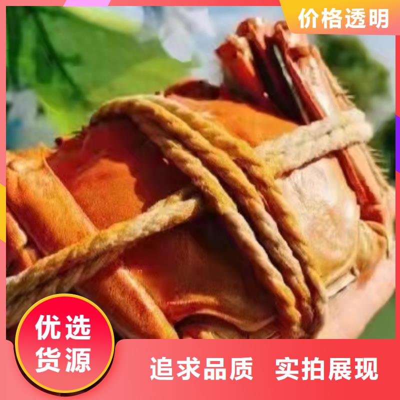 大闸蟹公司_阳澄湖镇莲花岛顾记大闸蟹经营部