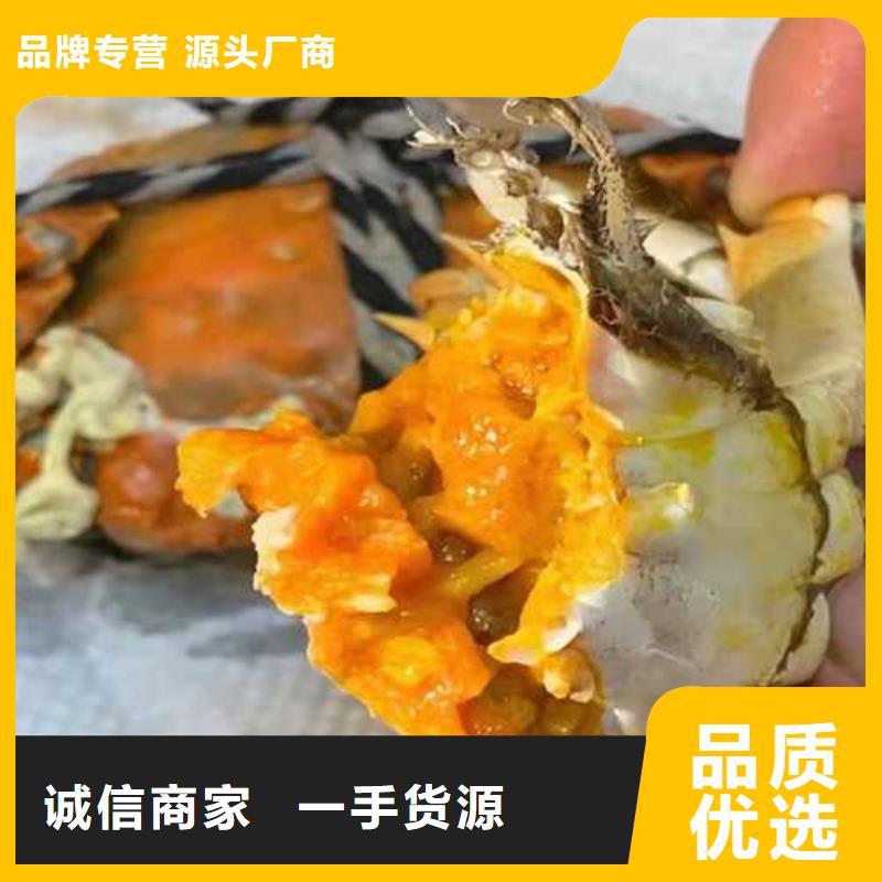 南方大闸蟹团购