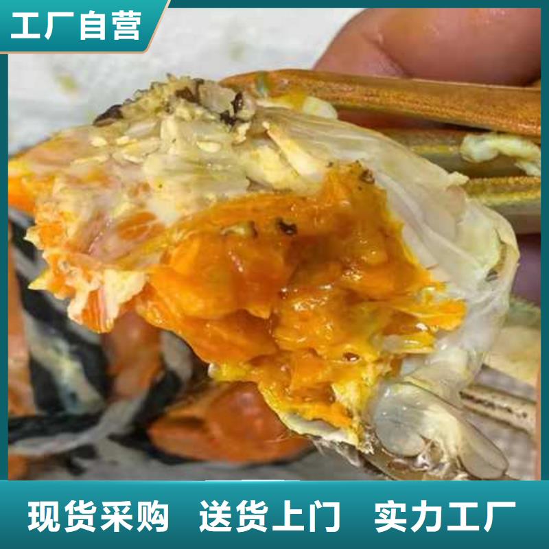 正宗阳澄湖大闸蟹价格