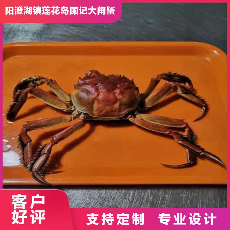 阳澄湖大闸蟹