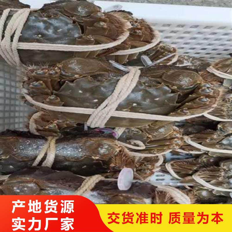 阳澄湖大闸蟹网上订购视频-景德镇市阳澄湖大闸蟹网上订购-周边可服务区域乐平|昌江|抚州|赣州|九江|南昌|上饶|萍乡