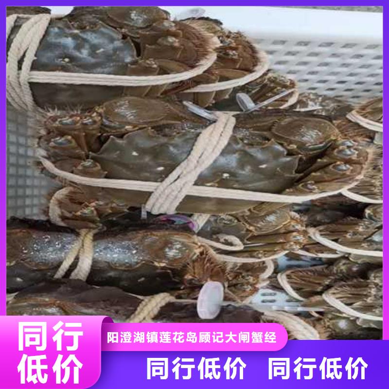 商州區陽澄湖吃大閘蟹哪里好