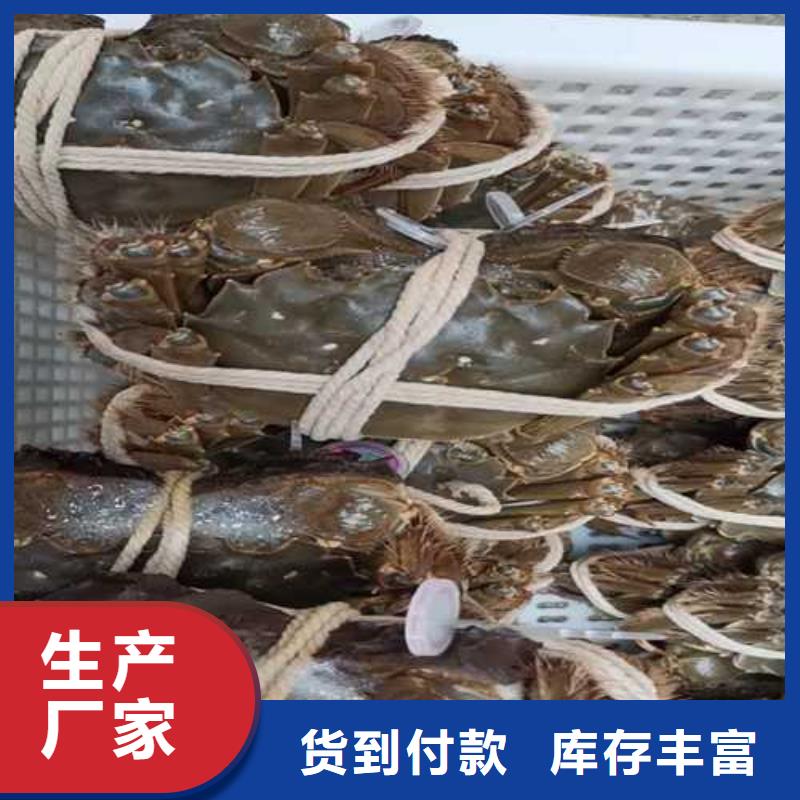海量现货直销【大闸蟹】-阳澄湖大闸蟹价格厂家直发_阳澄湖镇莲花岛顾记大闸蟹经营部